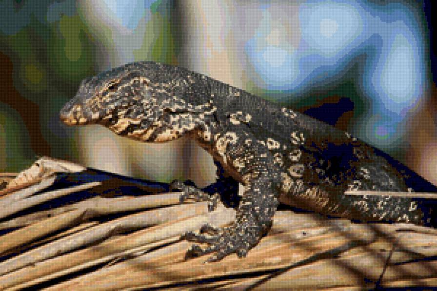 В джунглях - варан, ящер - предпросмотр