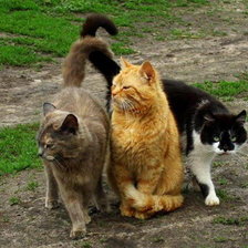 Схема вышивки «друзья»