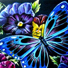 Схема вышивки «Бабочки и анютки»