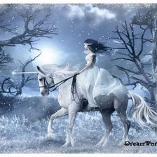 Схема вышивки «единорог и фея»