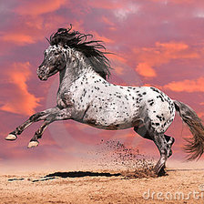 Схема вышивки «№112710»