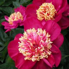 Схема вышивки «№112715»