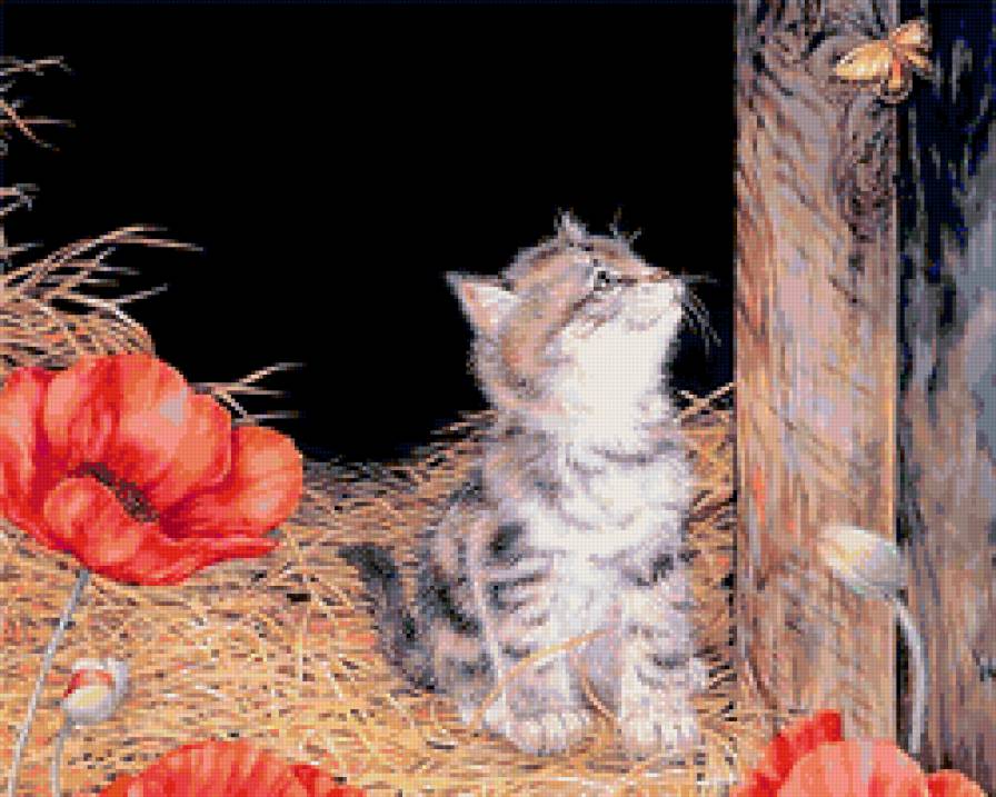 котэ и бабочка - цветы, бабочка, кот - предпросмотр