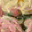 Предпросмотр схемы вышивки «букет» (№112742)