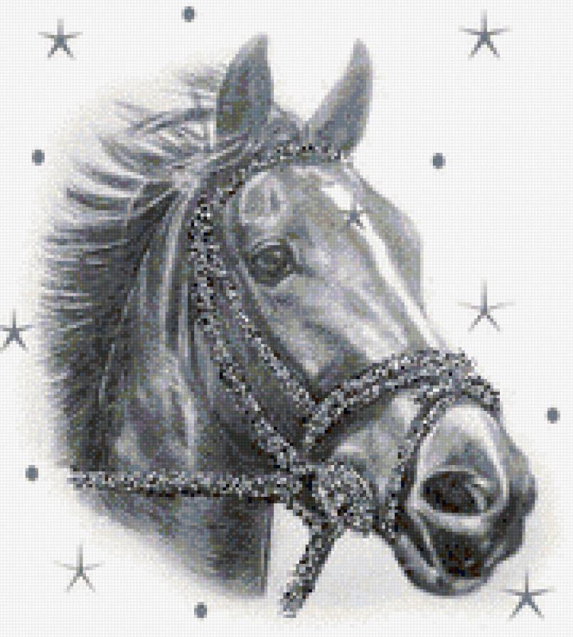 Лошадь - животные, лошадь, живопись, монохром - предпросмотр