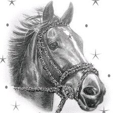 Схема вышивки «Лошадь»