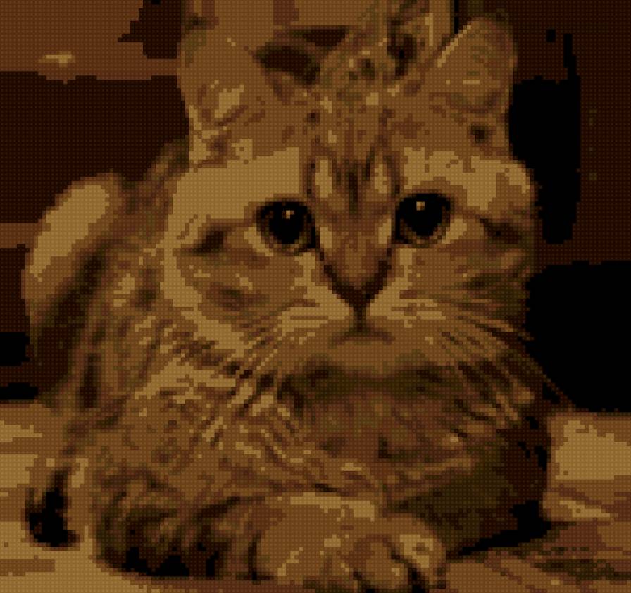 барс - предпросмотр