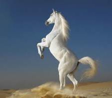 Схема вышивки «Грация»