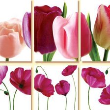 Схема вышивки «цветы»