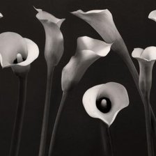 Схема вышивки «цветы»