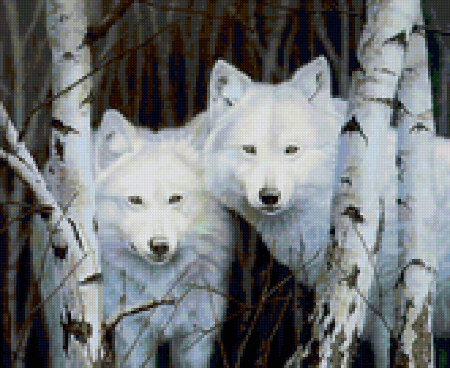 между берез - пара, природа, береза, волк. волки, березы - предпросмотр