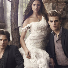 Схема вышивки «Дневники вампиров»