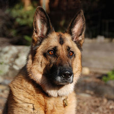 Схема вышивки «№112910»