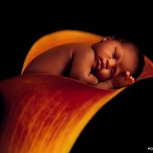 Схема вышивки «Малыш»