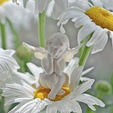 Схема вышивки «ангел»