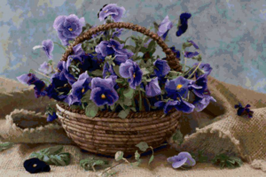фиалки - цветы, фиалки, корзина - предпросмотр