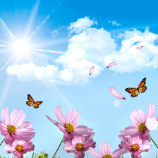 Схема вышивки «солнечное лето»