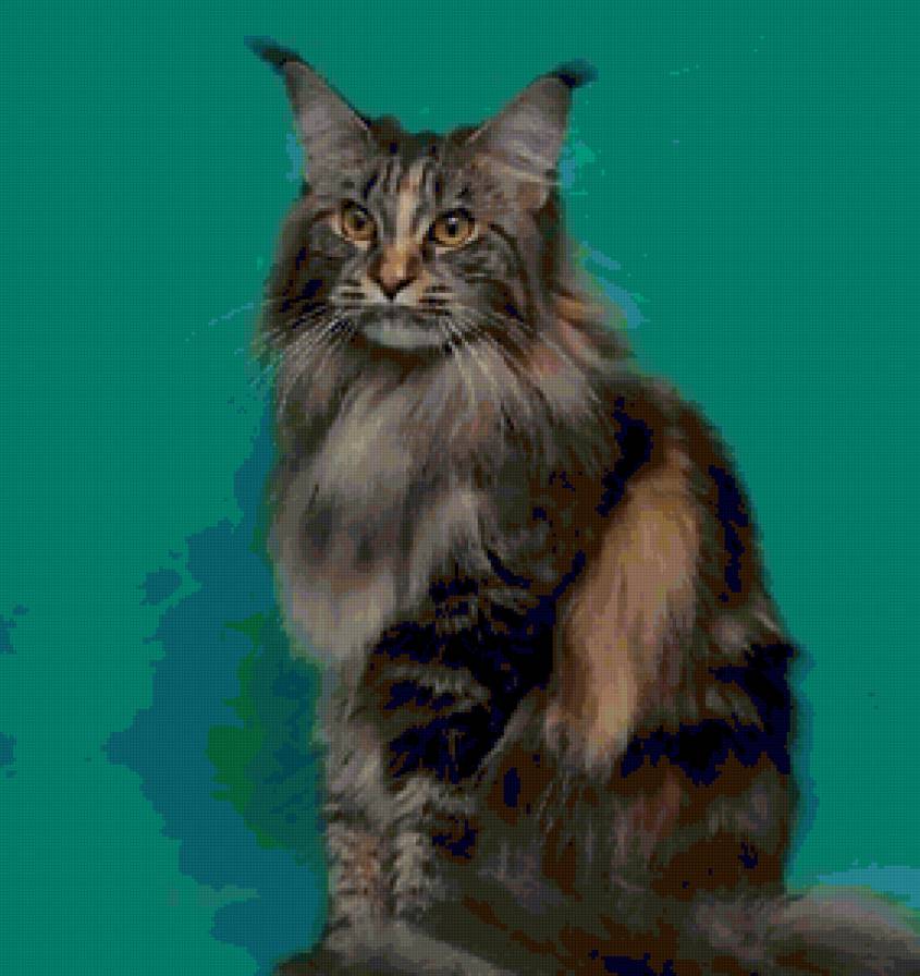 киска - предпросмотр