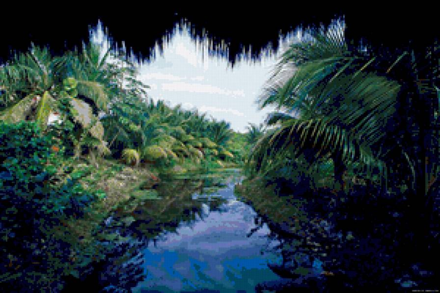 Завораживающие джунгли... - река, джунгли, вода, природа - предпросмотр