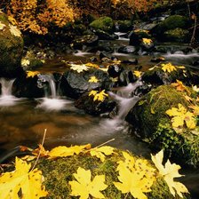 Схема вышивки «Осенний ручей»