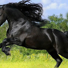 Схема вышивки «№113509»