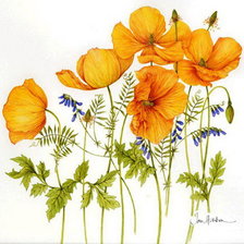 Схема вышивки «Цветы»