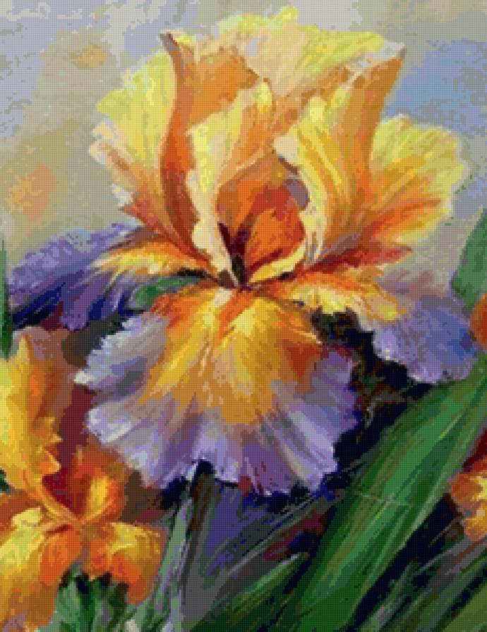 ирис 1 - предпросмотр