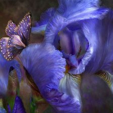 Схема вышивки «ирис 2»