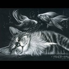 Кошачьи сны