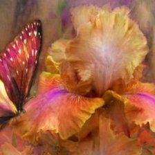 Схема вышивки «ирис 3»