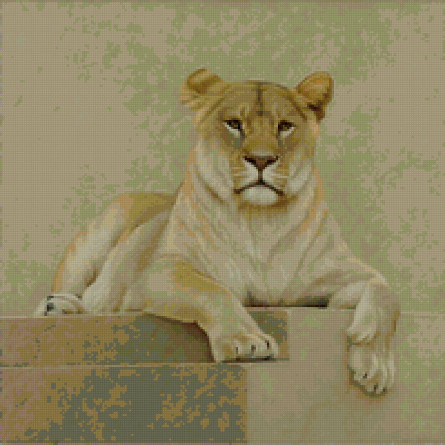 львица - животные, львы - предпросмотр