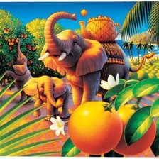 Схема вышивки «слоны»