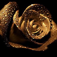 на черном фоне