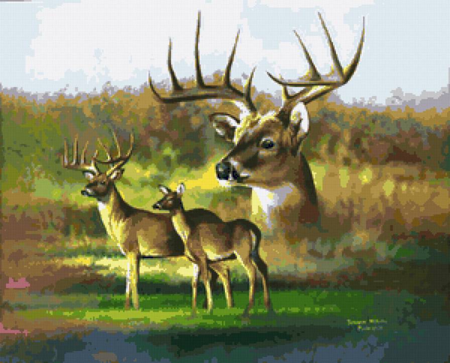 №113934 - предпросмотр