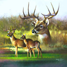 Схема вышивки «№113934»