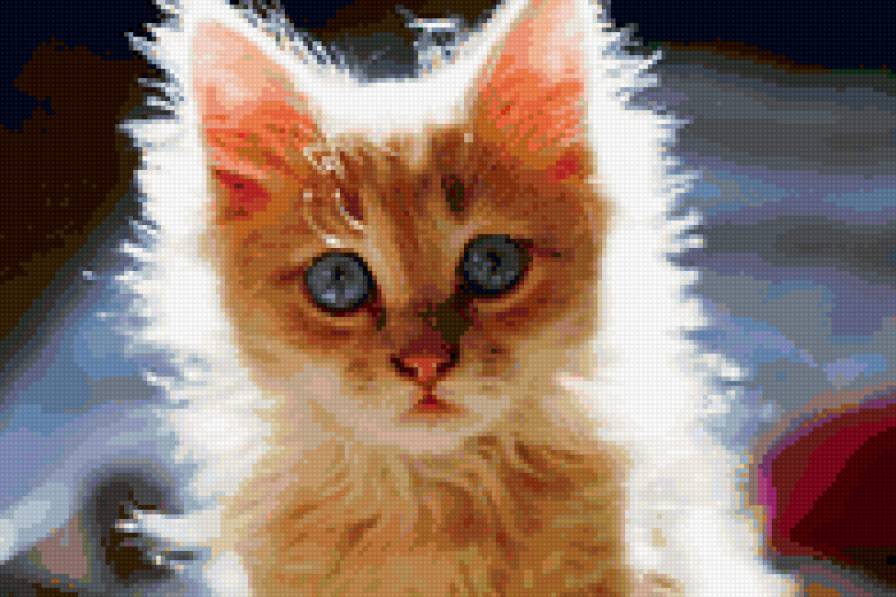 рыжее чудо - кот, животные, котенок - предпросмотр