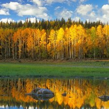 Схема вышивки «Осенний пейзаж»