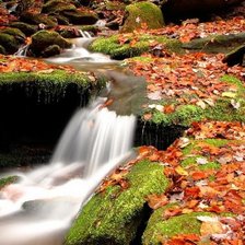 Схема вышивки «Осенний водопад»