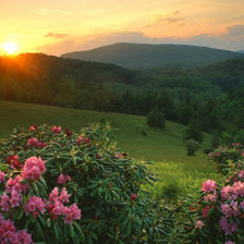 Схема вышивки «Горный пейзаж»