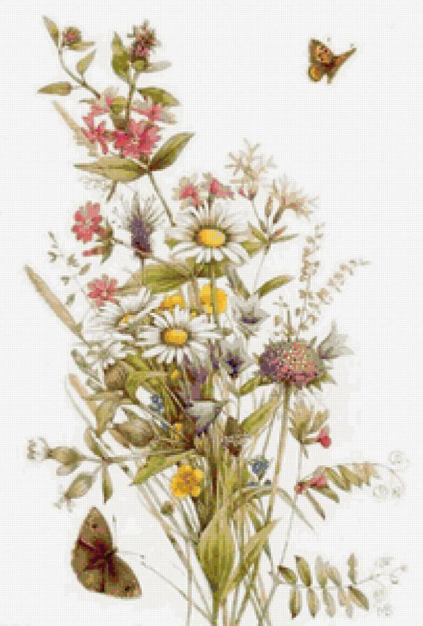 букет полевых цветов с бабочкой - букет, цветы - предпросмотр