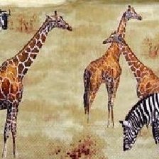 Схема вышивки «саванна»