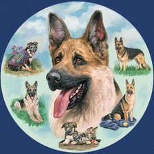 Схема вышивки «серия "верный друг"»