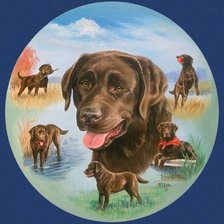 Схема вышивки «серия "верный друг"»