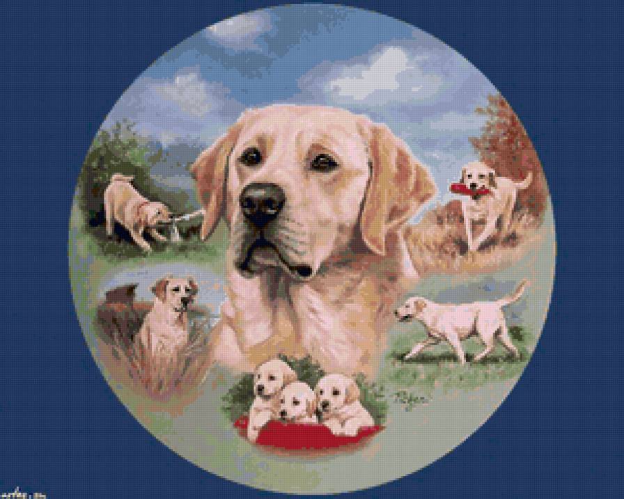 серия "верный друг" - животные, собаки - предпросмотр