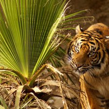 Схема вышивки «№114948»