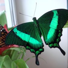 Схема вышивки «№114952»