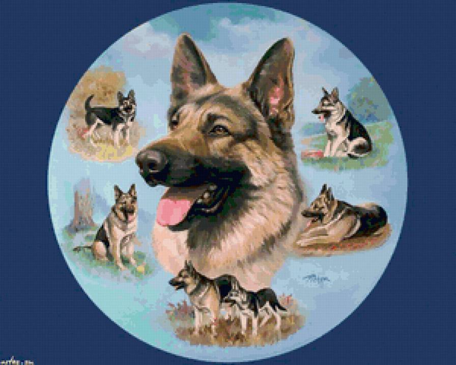 серия "верный друг" - собаки, животные - предпросмотр