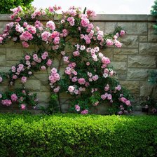 Схема вышивки «№114958»