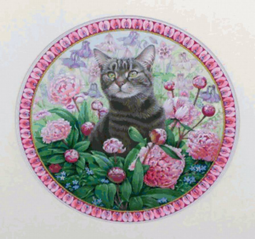 кот в цветах - животные, цветы, кошки - предпросмотр