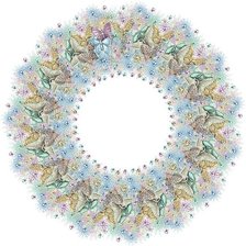 Схема вышивки «бабочки»